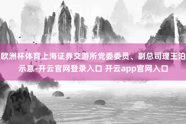 欧洲杯体育上海证券交游所党委委员、副总司理王泊示意-开云官网登录入口 开云app官网入口